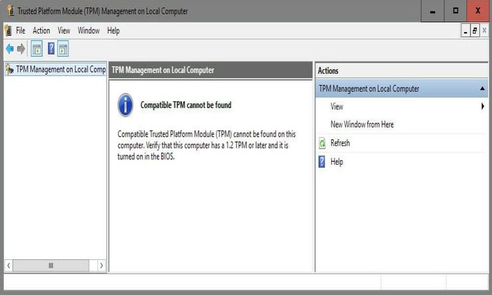 TPM manufacturer information window