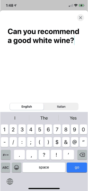 How to Use Apple's New Built-In Translator App