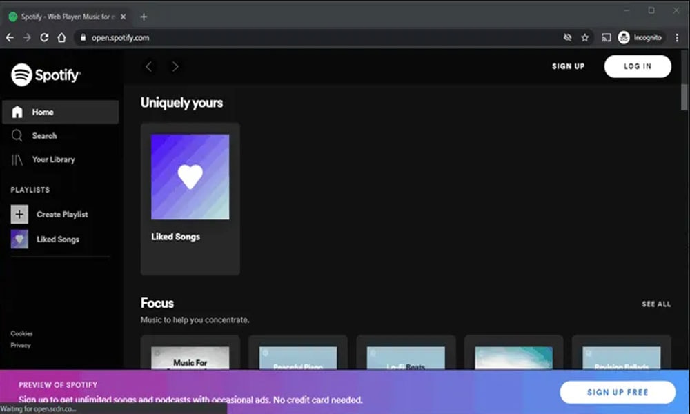 spotify web browser spotify web browser