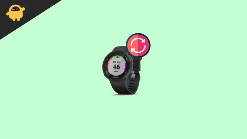 Garmin Watch