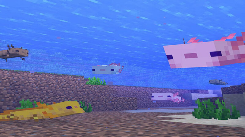 Minecraft: How to Spawn Blue Axolotl with Commands
