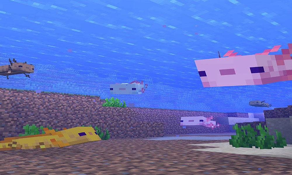 Minecraft: How to Spawn Blue Axolotl with Commands