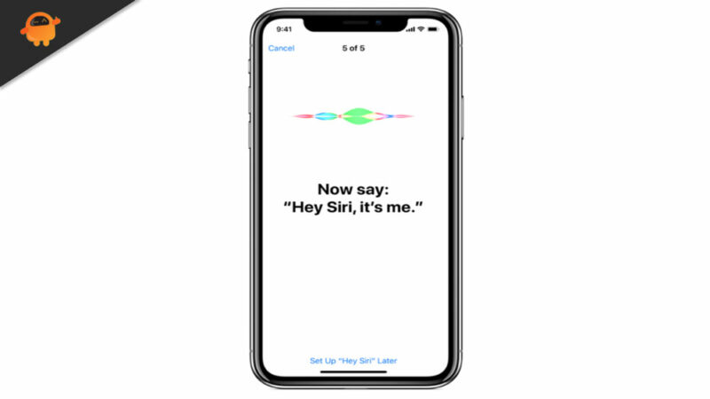 Delete Siri and Dictation History on Apple Watch, Mac, TV, and HomePod (2021)