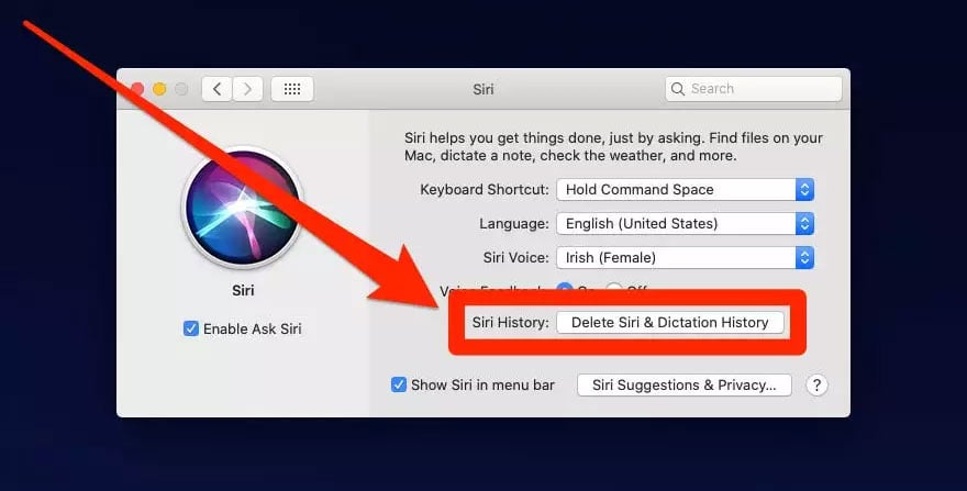 Delete Siri & Dictation History in Mac