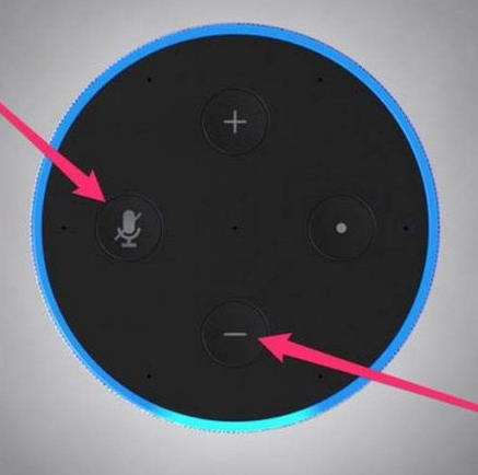 How to Fix Alexa Not Playing Spotify