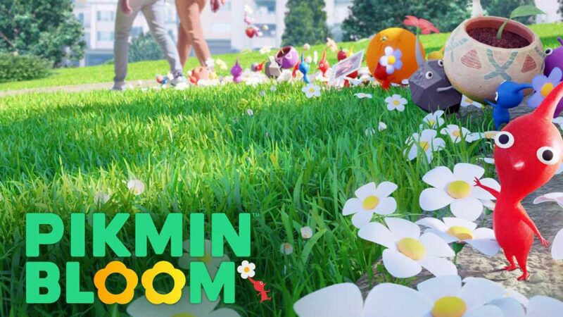 How to Fix Pikmin Bloom Unable to connect error