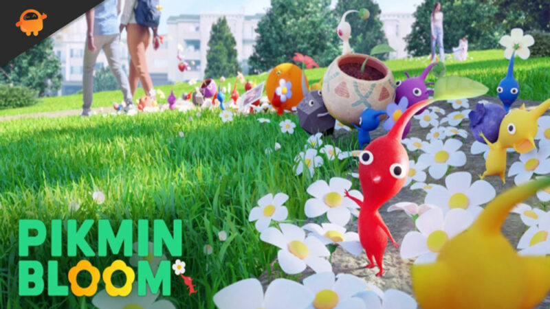 Fix: Pikmin Bloom Not Counting Steps