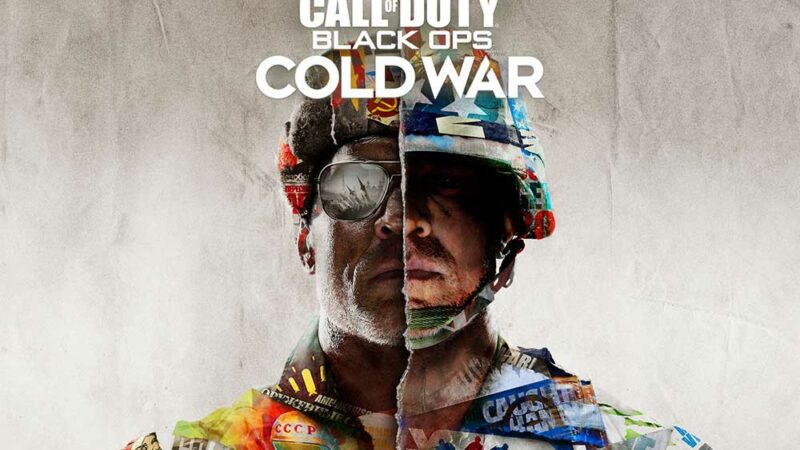 Fix Call of Duty Black Ops Cold War Fatal Error Crash on Windows 11/10