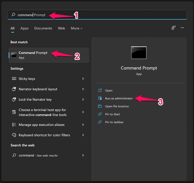 Run System File Scanner (1)