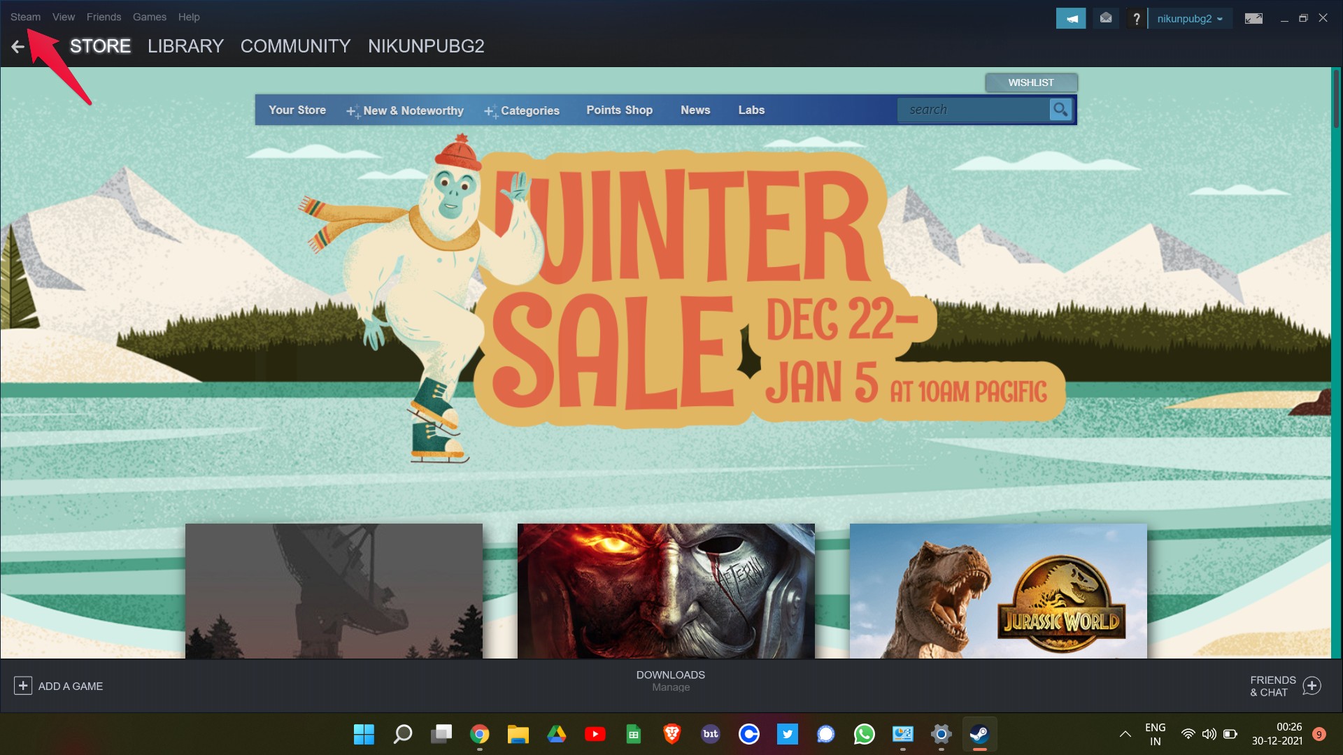 Steam icon is missing фото 51