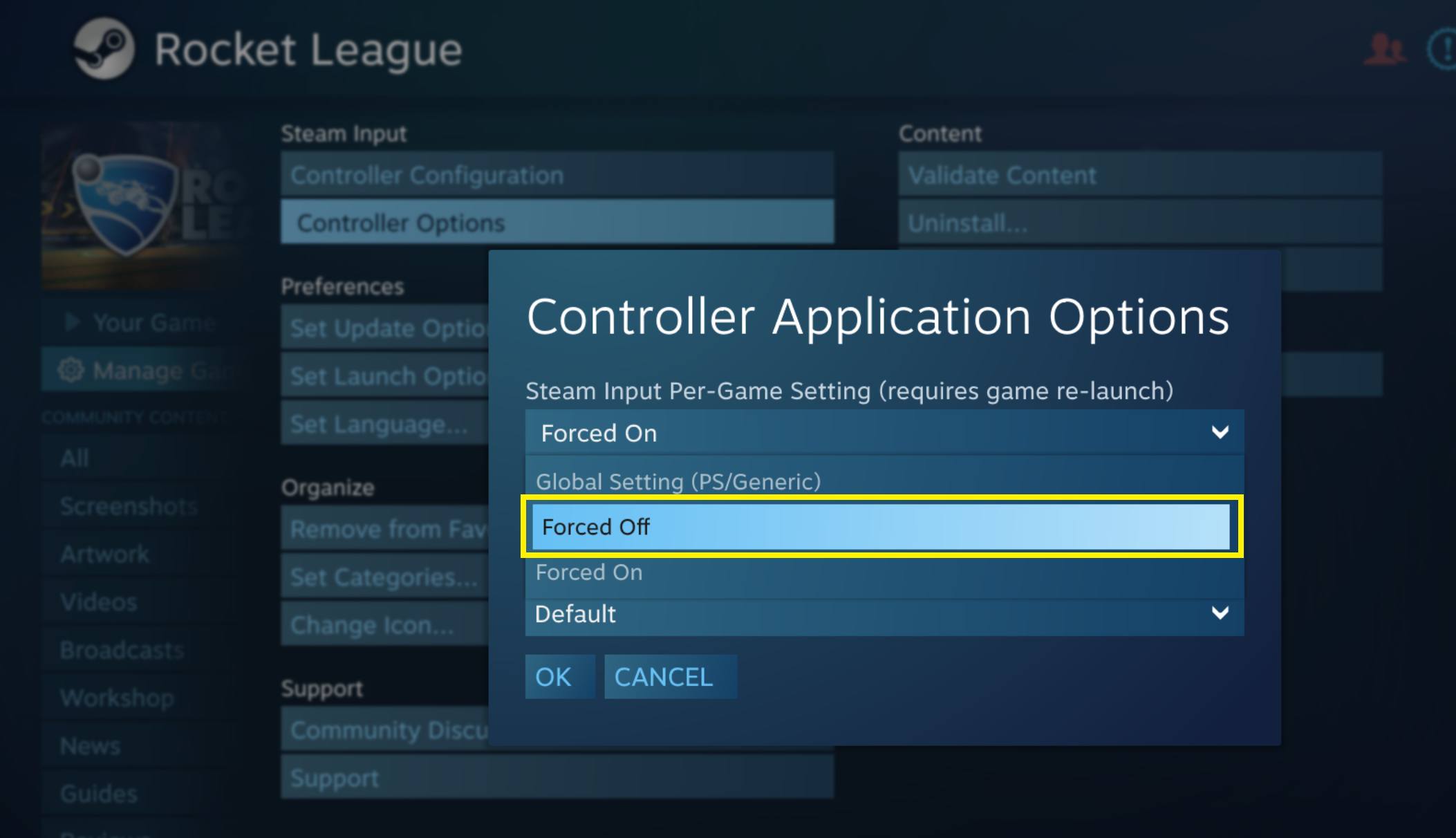 Disable Steam Inputs