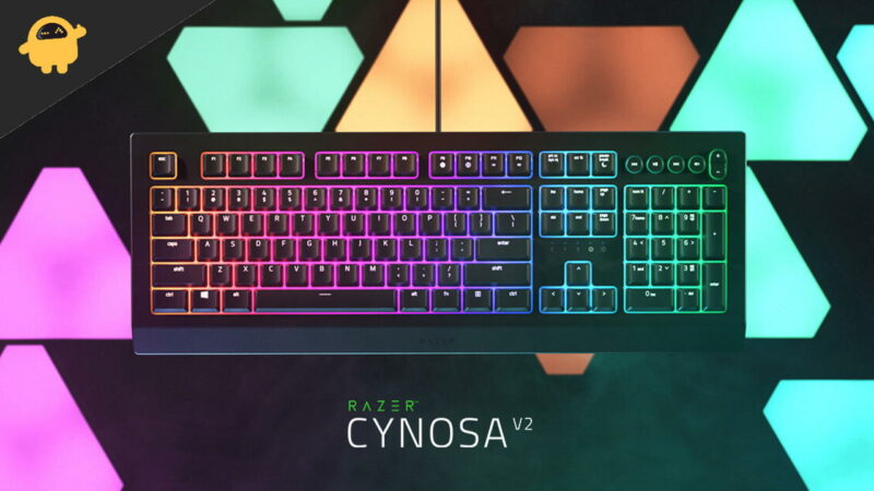 FIX Razer Cynosa Chroma Keyboard Not Lighting Up