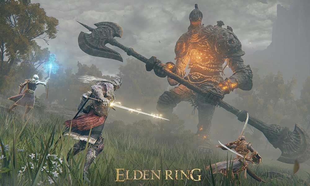 how to fix network status failed elden ring