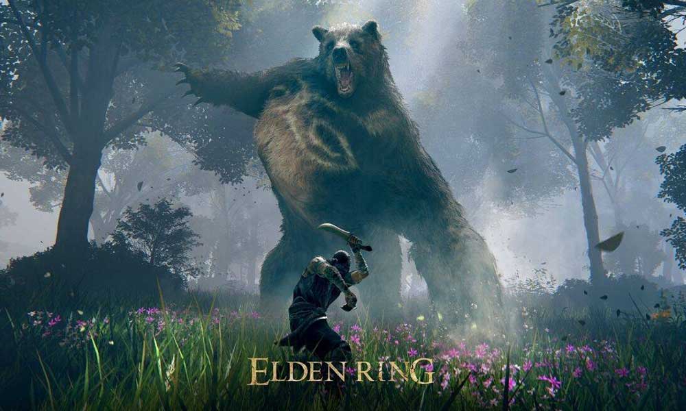 How to Fix Invisible enemies and horse bug fix in Elden Ring (ReTerandil fix)