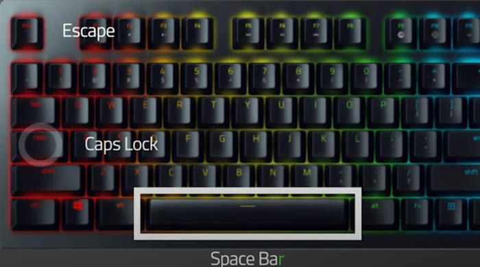 Razer Cynosa Chroma Keyboard Not Working, How to Fix?