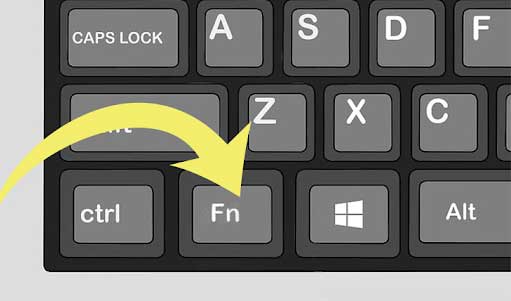 Re-enable Your Touchpad Using the "Fn" Key