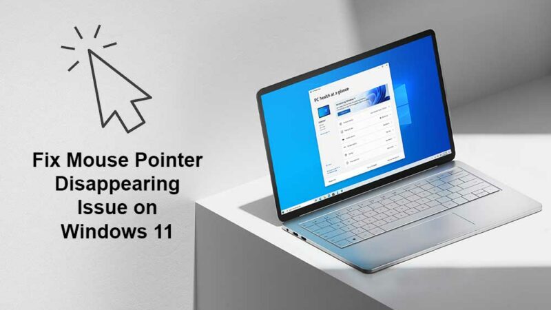 How to Fix Mouse Pointer/Cursor Keeps Disappearing in Windows 11