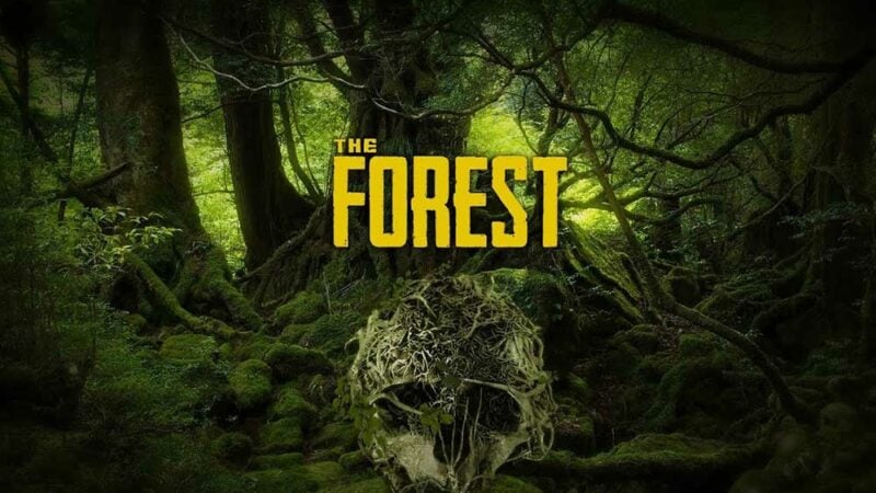 Fix: The Forest Game Keep Crashing on PC