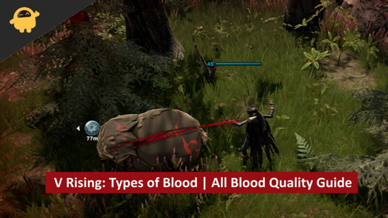 V Rising Types of Blood All Blood Quality Guide
