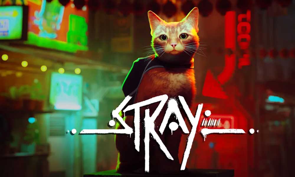 How to Play STRAY on Low End PC | Low End Optimization Config