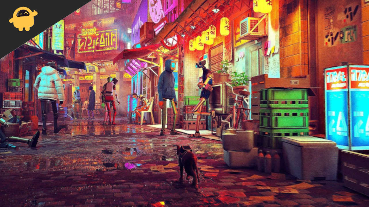 Stray, Stray Wiki