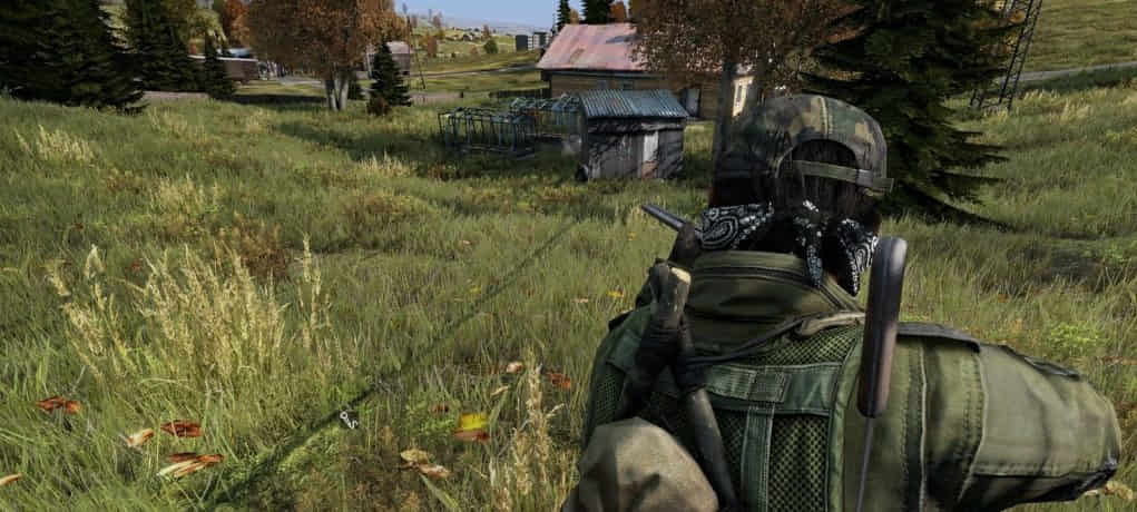 DayZ