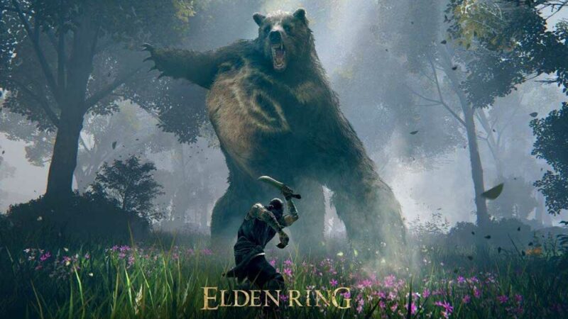 Elden Ring Best Graphics Settings for 3070, 3080, 3090, 1060, 1070, 2060, 2080, and More