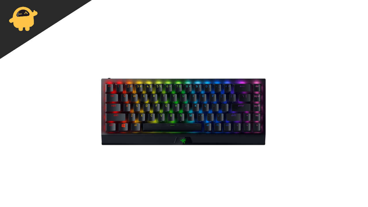 Which One is Hot Swappable Razer Blackwidow V3, V3 Mini, V3 Tenkeyless, or V3 Pro