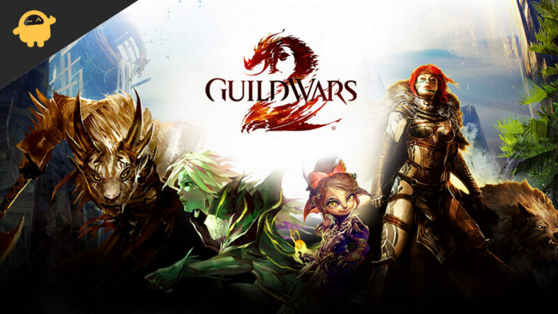 Guild Wars 2 All Classes and Subclasses