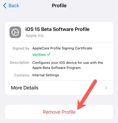 How to Fix iOS 16 Update Not Showing on iPhone and iPad