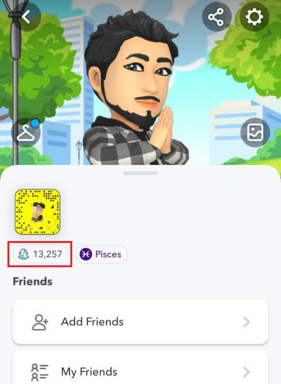 Where to find my Snap Score