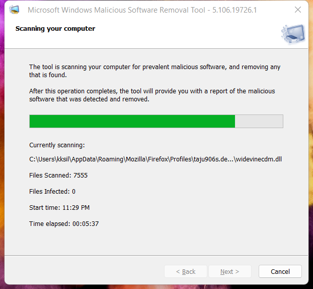 Remove Malware from Windows (4)