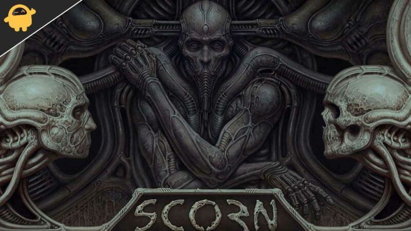 Scorn