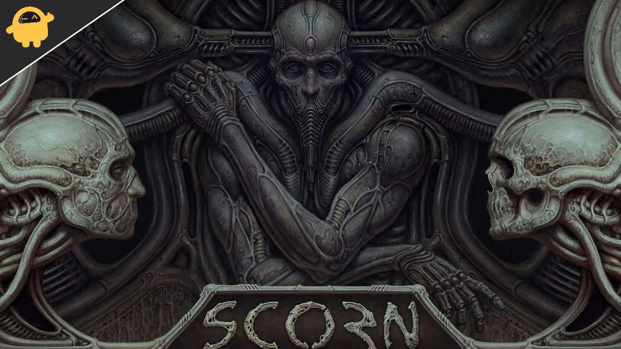 Scorn