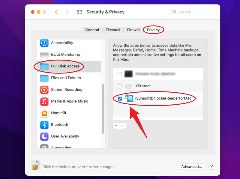 iSumSoft Bitlocker 