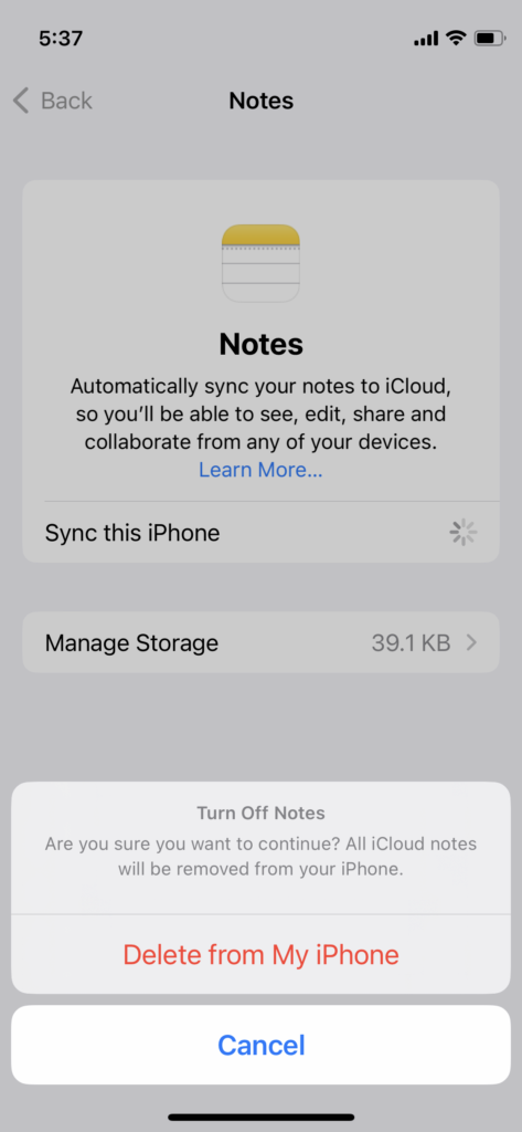 Delete Notes Data from iOS 16 Device (6)