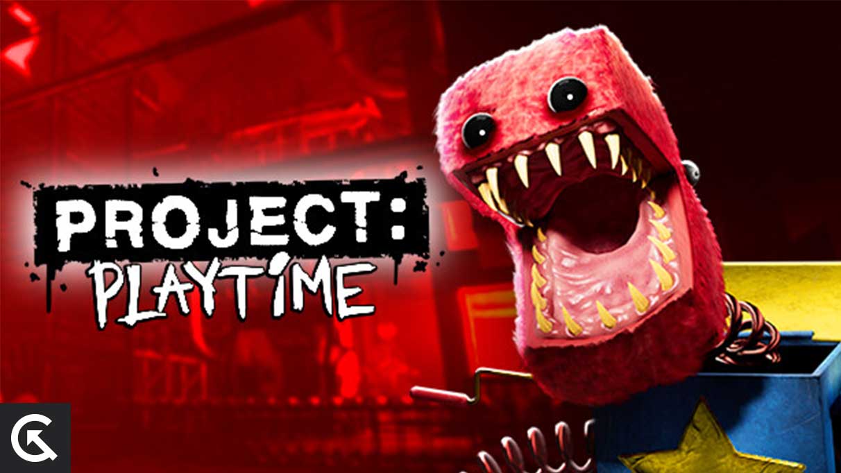 Project Playtime