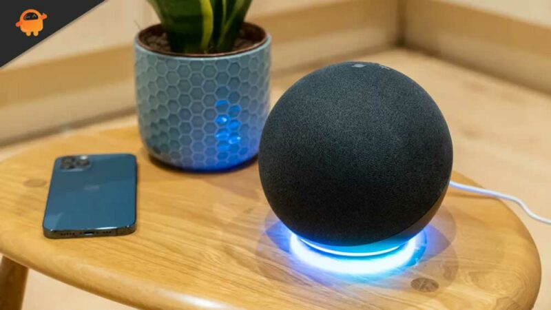 Alexa won't play my radio station