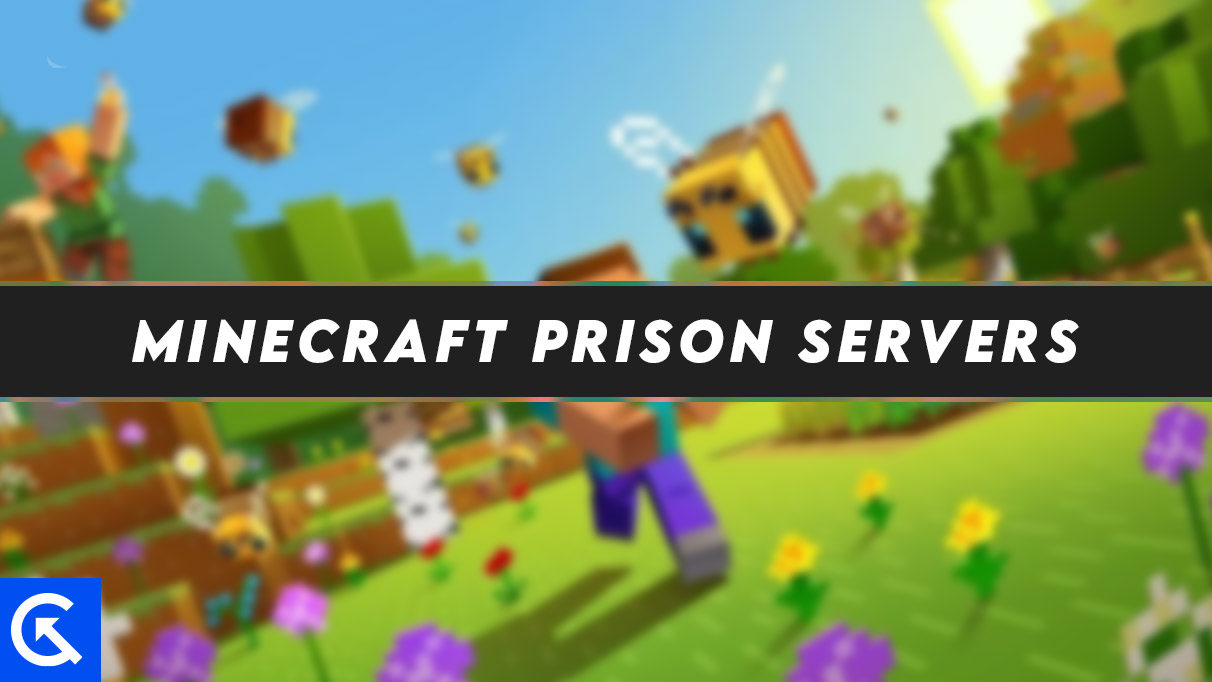 Minecraft Prison Servers