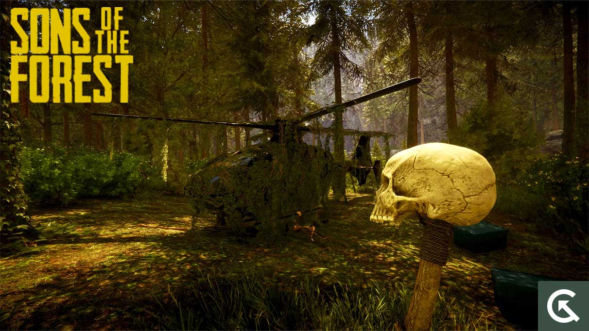 3 Ways to Fix Sons of the Forest Lag on PC