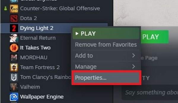 Dying Light Settings Not Saving