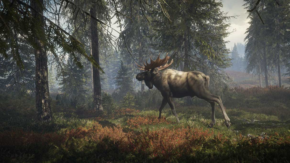 theHunter Call of the Wild