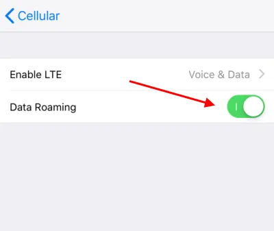 Disable Data Roaming