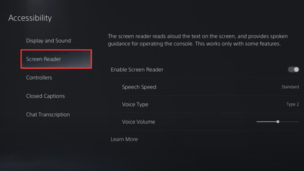PS5 screen reader
