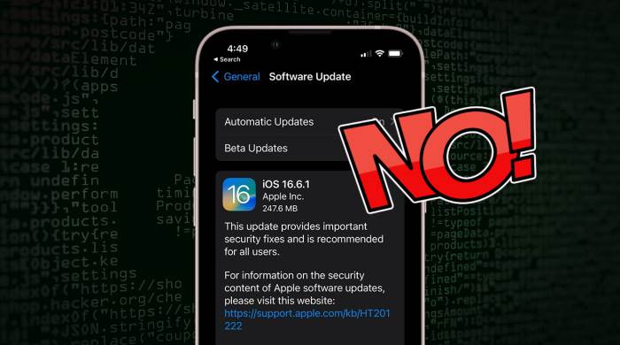 5 Reasons Not to Install iOS 16.6.1