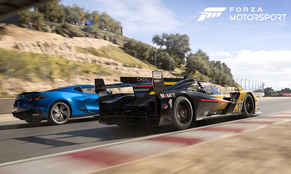 Fix: Forza Motorsport Microsoft Account Login or Sign In Issue on PC
