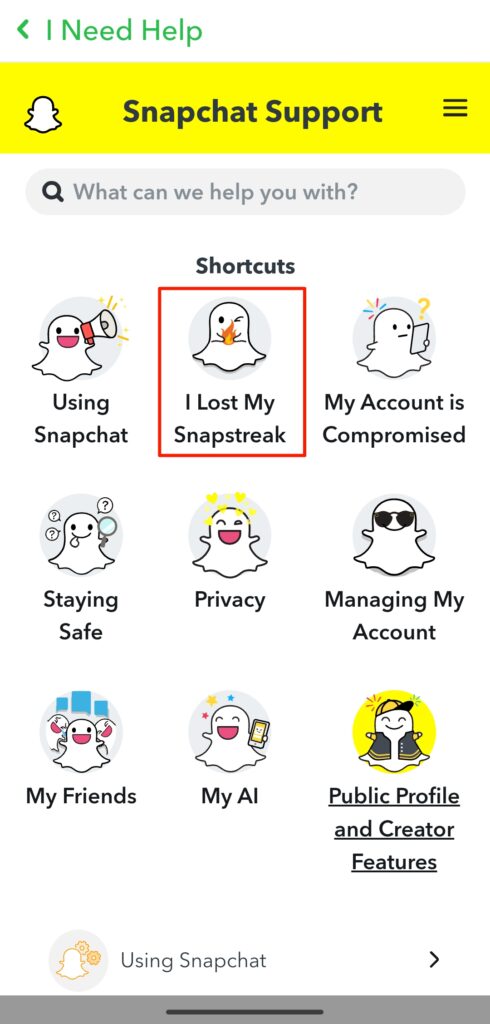 Tapping the I Lost My Snapstreaks icon