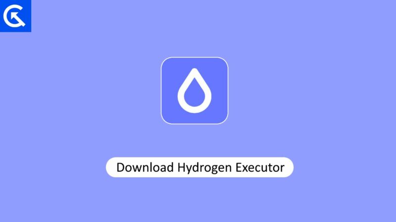 Download Hydrogen Executor