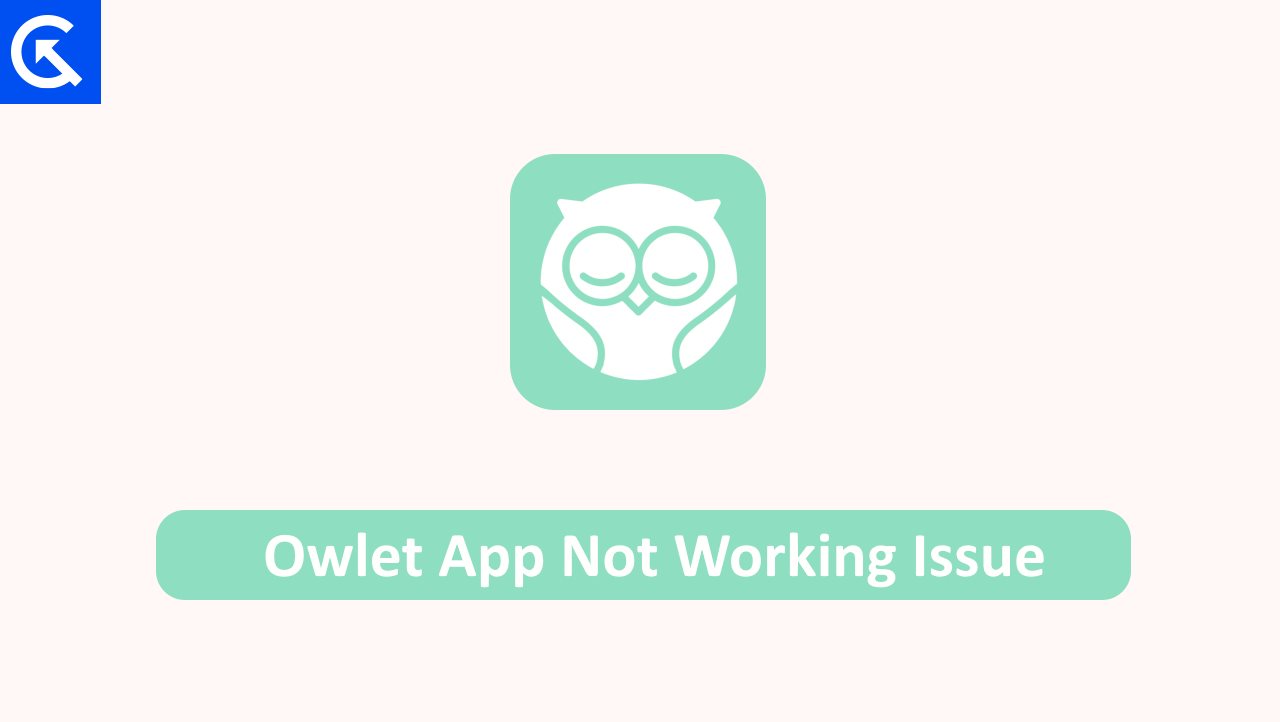 How to Fix Owlet App Not Working Issue