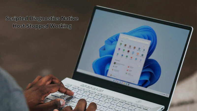 Scripted Diagnostics Native Host Stopped Working Fix for Windows 10, 11
